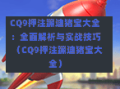 CQ9押注蹦迪猪宝大全：全面解析与实战技巧（CQ9押注蹦迪猪宝大全）