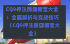 CQ9押注蹦迪猪宝大全：全面解析与实战技巧（CQ9押注蹦迪猪宝大全）